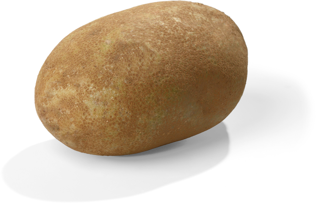 Potato - Isolated